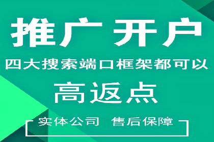 深度解析：SEM竞价优化提升ROI的案例